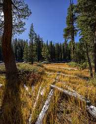 Snow Creek Lake Tioga Pass Yosemite National Park Winter Fine Art Landscape Photography Rock - 014278 - 20-10-2014 - 7188x9194 Pixel Snow Creek Lake Tioga Pass Yosemite National Park Winter Fine Art Landscape Photography Rock Fine Art Foto Sale Outlook Animal Sunshine Fine Art Photography...