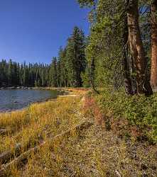 Snow Creek Lake Tioga Pass Yosemite National Park Image Stock Photo Panoramic Prints Tree - 014279 - 20-10-2014 - 7230x8172 Pixel Snow Creek Lake Tioga Pass Yosemite National Park Image Stock Photo Panoramic Prints Tree Photo Fine Art Fine Art Royalty Free Stock Images Fine Art Photography...