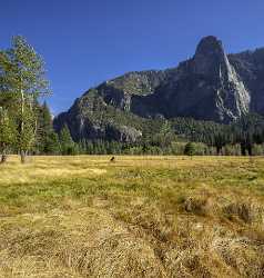 Yosemite Valley Merced River National Park Sierra Coast Fine Art Print Grass Fine Art Foto - 014245 - 20-10-2014 - 7281x7651 Pixel Yosemite Valley Merced River National Park Sierra Coast Fine Art Print Grass Fine Art Foto Western Art Prints For Sale Rock Fine Art Fine Art Giclee Printing...