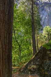 Yosemite Valley Merced River National Park Sierra Photography Prints For Sale Fine Art Prints - 014249 - 20-10-2014 - 4780x12252 Pixel Yosemite Valley Merced River National Park Sierra Photography Prints For Sale Fine Art Prints Art Printing Modern Wall Art Spring Prints Leave Fine Art Prints...