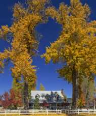 Chester Chester - Panoramic - Landscape - Photography - Photo - Print - Nature - Stock Photos - Images - Fine Art Prints - Sale...