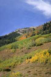 Aspen Castle Creek Road Colorado Landscape Autumn Color Stock Photos Art Photography Gallery - 007251 - 12-09-2010 - 4234x8036 Pixel Aspen Castle Creek Road Colorado Landscape Autumn Color Stock Photos Art Photography Gallery View Point Country Road Island Coast Fine Art Landscape Order...