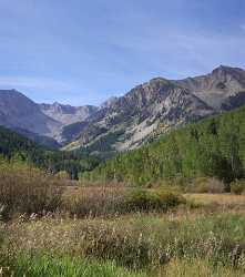 Aspen Castle Creek Road Colorado Landscape Autumn Color Modern Art Prints City Prints Sunshine - 007254 - 12-09-2010 - 4159x4706 Pixel Aspen Castle Creek Road Colorado Landscape Autumn Color Modern Art Prints City Prints Sunshine Photo Fine Art Forest Order Fine Art Prints For Sale Fine Art...