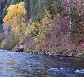 Basalt Fryingpan River Colorado Landscape Bush Forest Tree Fine Art Photos - 006905 - 14-10-2010 - 6408x5909 Pixel Basalt Fryingpan River Colorado Landscape Bush Forest Tree Fine Art Photos Fine Art Photography For Sale Ice Fine Art Photo Order Cloud Art Printing Royalty...