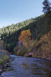 Basalt Fryingpan River Colorado Landscape Bush Forest Tree Prints Grass - 006908 - 14-10-2010 - 4297x7207 Pixel Basalt Fryingpan River Colorado Landscape Bush Forest Tree Prints Grass Fine Art Photography Prints For Sale Lake Stock Pictures Art Prints Royalty Free Stock...