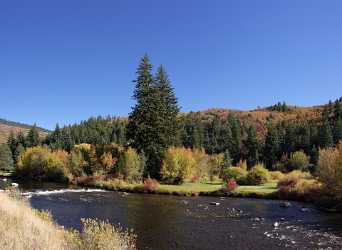 Basalt Fryingpan River Colorado Landscape Bush Forest Tree Grass Royalty Free Stock Images - 006911 - 14-10-2010 - 6588x4816 Pixel Basalt Fryingpan River Colorado Landscape Bush Forest Tree Grass Royalty Free Stock Images What Is Fine Art Photography Art Prints For Sale Outlook Winter Fine...