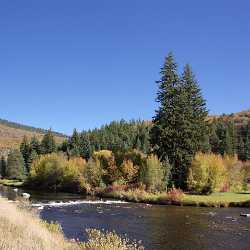 Basalt Fryingpan River Colorado Landscape Bush Forest Tree Fine Art Photography Prints - 006913 - 14-10-2010 - 4212x4216 Pixel Basalt Fryingpan River Colorado Landscape Bush Forest Tree Fine Art Photography Prints What Is Fine Art Photography Fine Art Photography For Sale Fine Art...