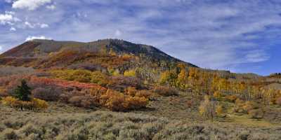 Montrose Cimarron Owl Creek Pass Silver Jack Colorado View Point Art Prints - 012103 - 05-10-2012 - 16695x7422 Pixel Montrose Cimarron Owl Creek Pass Silver Jack Colorado View Point Art Prints Fine Art Giclee Printing Forest Art Prints For Sale Rock Fine Art Fotografie Sale...