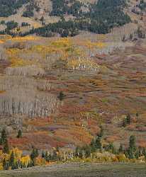 Montrose Cimarron Owl Creek Pass Silver Jack Colorado Country Road - 012106 - 05-10-2012 - 7039x8536 Pixel Montrose Cimarron Owl Creek Pass Silver Jack Colorado Country Road Fine Art Photography Prints For Sale Fine Art Prints Fine Art Posters Fine Art Landscape...