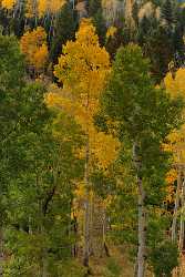 Montrose Cimarron Owl Creek Pass Silver Jack Colorado Image Stock Prints Prints For Sale - 012125 - 05-10-2012 - 7036x11217 Pixel Montrose Cimarron Owl Creek Pass Silver Jack Colorado Image Stock Prints Prints For Sale Fine Art Photography Prints For Sale What Is Fine Art Photography...