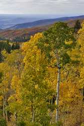 Montrose Cimarron Owl Creek Pass Silver Jack Colorado Fine Art Photos Winter Fine Art Landscape - 012126 - 05-10-2012 - 7166x12852 Pixel Montrose Cimarron Owl Creek Pass Silver Jack Colorado Fine Art Photos Winter Fine Art Landscape Hi Resolution Fine Art Prints Senic Spring Snow City Royalty...