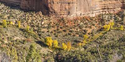 Grand Junction Colorado Rimrock Drive Ute Canyon View Shore Cloud Fine Art Fine Art Printing - 021912 - 18-10-2017 - 24389x8053 Pixel Grand Junction Colorado National Monument Road Rock Formation Berg Landschaft Stadt Natur Fotografie Gletscher Bergpass Gebirge Tiere Berg Nebel Sonnenuntergang...