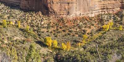 Grand Junction Colorado Rimrock Drive Ute Canyon View Shore Cloud Fine Art Fine Art Printing - 021912 - 18-10-2017 - 24389x8053 Pixel Grand Junction Colorado Rimrock Drive Ute Canyon View Shore Cloud Fine Art Fine Art Printing Fine Art Photography Prints Grass Senic Stock Image Fine Arts...