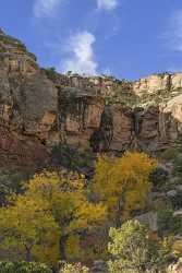 Grand Junction Colorado National Monument Road Rock Formation Lake Sea Fine Art Pictures Spring - 021923 - 18-10-2017 - 7664x14258 Pixel Grand Junction Colorado National Monument Road Rock Formation Lake Sea Fine Art Pictures Spring City Fine Art Photography Galleries Senic Leave Fine Art Giclee...