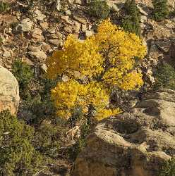 Grand Junction Colorado National Monument Road Rock Formation Ice Fine Art Photography Prints Leave - 021925 - 18-10-2017 - 7819x7893 Pixel Grand Junction Colorado National Monument Road Rock Formation Ice Fine Art Photography Prints Leave Pass Fine Art Nature Photography Fine Art Prints For Sale...