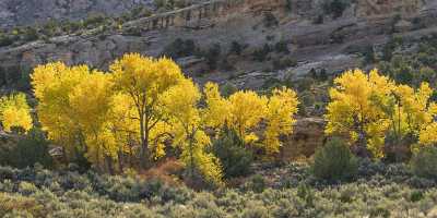 Grand Junction Colorado National Monument Road Rock Formation Stock Image Image Stock Prints Sea - 021927 - 18-10-2017 - 21534x6317 Pixel Grand Junction Colorado National Monument Road Rock Formation Stock Image Image Stock Prints Sea Animal Fog Fine Art Photography Gallery Fine Art Photography...