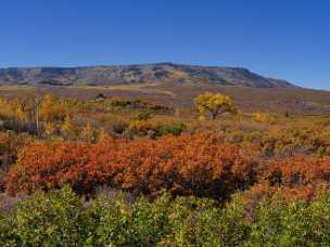 Grand Mesa