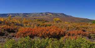 Grand Mesa Delta, Grand Mesa National Forest - Panoramic - Landscape - Photography - Photo - Print - Nature - Stock Photos - Images...