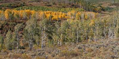 Yampa Dunckley Pass Country Road Stock Pictures Colorado Landscape Famous Fine Art Photographers - 008382 - 20-09-2010 - 10192x4209 Pixel Yampa Dunckley Pass Country Road Stock Pictures Colorado Landscape Famous Fine Art Photographers What Is Fine Art Photography Fine Art Photography Outlook Fog...