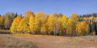 Yampa Dunckley Pass Country Road Fine Art Photography Colorado Landscape Sea - 008402 - 21-09-2010 - 8435x4249 Pixel Yampa Dunckley Pass Country Road Fine Art Photography Colorado Landscape Sea Art Photography Gallery Order Country Road Autumn Fine Art Nature Photography Art...