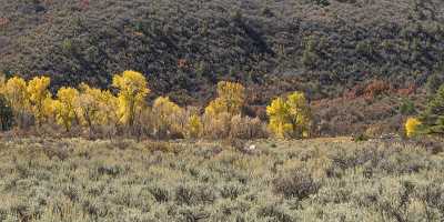 Gateway Colorado Grass Farm Cottonwood Tree Autumn Fall Beach Barn Shoreline Stock Fog - 022026 - 15-10-2017 - 19269x7047 Pixel Gateway Colorado Grass Farm Cottonwood Tree Autumn Fall Beach Barn Shoreline Stock Fog Royalty Free Stock Photos Image Stock Fine Art Photography Gallery Senic...