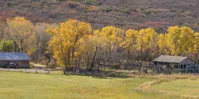 Gateway Colorado Grass Farm Cottonwood Tree Autumn Fall Order Pass Modern Art Prints Spring Rain - 022029 - 15-10-2017 - 27173x6417 Pixel Gateway Colorado Grass Farm Cottonwood Tree Autumn Fall Order Pass Modern Art Prints Spring Rain Photography Prints For Sale Royalty Free Stock Images Fine Art...