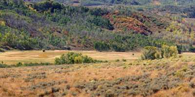 Hayden Country Road Landscape Colorado Autumn Color Shore Fine Art Printing Photography - 008359 - 20-09-2010 - 15397x3931 Pixel Hayden Country Road Landscape Colorado Autumn Color Shore Fine Art Printing Photography Photo Fine Art Fine Art Giclee Printing Hi Resolution Sky Snow City...