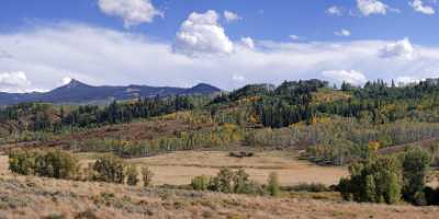 Hayden Country Road Flower Colorado Landscape Autumn Color Fine Art Printer Creek Stock Pictures - 008378 - 20-09-2010 - 9256x4235 Pixel Hayden Country Road Flower Colorado Landscape Autumn Color Fine Art Printer Creek Stock Pictures Fine Art Photo Lake Fine Art Landscape Art Photography For Sale...