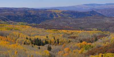 Crested Butte Kebler Pass Colorado Landscape Autumn Color Stock Pictures Sale Tree - 012228 - 07-10-2012 - 15775x7626 Pixel Crested Butte Kebler Pass Colorado Landscape Autumn Color Stock Pictures Sale Tree Landscape Photography Spring Fine Art Prints For Sale Royalty Free Stock...