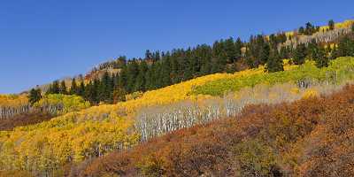 Crested Butte Kebler Pass Colorado Landscape Autumn Color Art Prints For Sale - 012231 - 07-10-2012 - 21039x7981 Pixel Crested Butte Kebler Pass Colorado Landscape Autumn Color Art Prints For Sale Art Photography Gallery Hi Resolution Flower Royalty Free Stock Photos Summer...