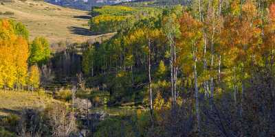 Ridgway Last Dollar Road Colorado Mountain Range Autumn Forest Fine Art Photos Fine Art Landscapes - 014848 - 04-10-2014 - 15049x4741 Pixel Ridgway Last Dollar Road Colorado Mountain Range Autumn Forest Fine Art Photos Fine Art Landscapes Art Photography For Sale Fine Art Prints For Sale Snow Fine...