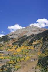 Silverton Molas Pass Colorado Autumn Color Fall Foliage Modern Art Print Senic Grass Park Beach - 007943 - 17-09-2010 - 4133x6939 Pixel Silverton Molas Pass Colorado Autumn Color Fall Foliage Modern Art Print Senic Grass Park Beach Order Country Road Fine Art Fine Art Pictures Hi Resolution...