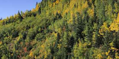 Ouray Million Dollar Highway Colorado Autumn Color Fall Spring Beach Fine Art Fotografie Fog Order - 007873 - 17-09-2010 - 10011x4040 Pixel Ouray Million Dollar Highway Colorado Autumn Color Fall Spring Beach Fine Art Fotografie Fog Order Photography Art Prints For Sale Fine Art Posters Sunshine...