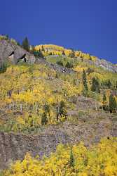 Ouray Million Dollar Highway Colorado Autumn Color Fall Rain Modern Wall Art Fine Arts - 007876 - 17-09-2010 - 4152x8564 Pixel Ouray Million Dollar Highway Colorado Autumn Color Fall Rain Modern Wall Art Fine Arts Fine Art Pictures Stock Image Fine Art Nature Photography Shoreline Creek...