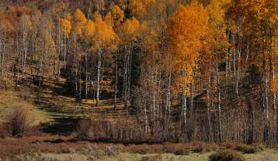 Paonia Country Road Stock Pictures Colorado Landscape Autumn Color Fine Art Photography Prints Sky - 012234 - 07-10-2012 - 10542x6104 Pixel Paonia Country Road Stock Pictures Colorado Landscape Autumn Color Fine Art Photography Prints Sky Prints Senic Fine Art Prints For Sale Rain Stock Image Cloud...