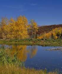 Paonia Country Road Outlook Colorado Pond Landscape Autumn Forest Fog Fine Art Printing - 012235 - 07-10-2012 - 7078x8447 Pixel Paonia Country Road Outlook Colorado Pond Landscape Autumn Forest Fog Fine Art Printing Art Photography Gallery Hi Resolution Fine Art Photography Prints Color...