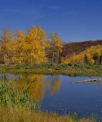 Paonia Country Road Outlook Colorado Pond Landscape Autumn Forest Fog Fine Art Printing - 012235 - 07-10-2012 - 7078x8447 Pixel Paonia Country Road Outlook Colorado Pond Landscape Autumn Forest Fog Fine Art Printing Art Photography Gallery Hi Resolution Fine Art Photography Prints Color...