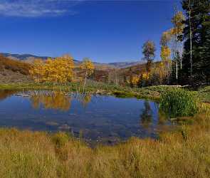 Paonia Country Road Fine Art Printer Colorado Pond Landscape Autumn Grass Coast Photo Sale Outlook - 012238 - 07-10-2012 - 11444x9701 Pixel Paonia Country Road Fine Art Printer Colorado Pond Landscape Autumn Grass Coast Photo Sale Outlook Animal Tree Fine Art Photography Galleries City Fine Art...