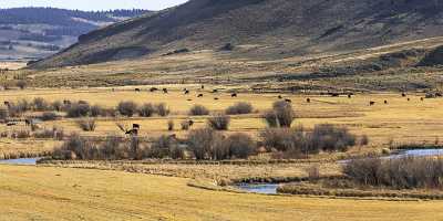 Parlin Colorado Grass Tundra Creek Mountain Range Tree Lake Cloud Stock Coast Fine Art Fotografie - 021929 - 17-10-2017 - 23402x8310 Pixel Parlin Colorado Grass Tundra Creek Mountain Range Tree Lake Cloud Stock Coast Fine Art Fotografie Order Modern Art Prints Fine Art Photography Prints For Sale...