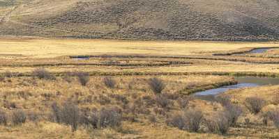 Parlin Colorado Grass Tundra Creek Mountain Range Tree Fine Art Photography Galleries Country Road - 021931 - 17-10-2017 - 23655x7328 Pixel Parlin Colorado Grass Tundra Creek Mountain Range Tree Fine Art Photography Galleries Country Road Shoreline Fine Art Photography City Stock Photos Modern Wall...