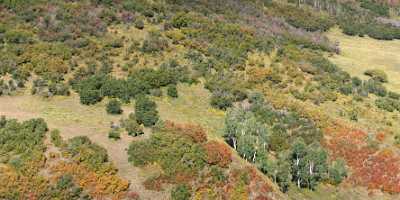 Placerville Specie Creek Road Colorado Landscape Autumn Color Western Art Prints For Sale - 008026 - 18-09-2010 - 8985x4161 Pixel Placerville Specie Creek Road Colorado Landscape Autumn Color Western Art Prints For Sale Hi Resolution Royalty Free Stock Photos Photography Prints For Sale...