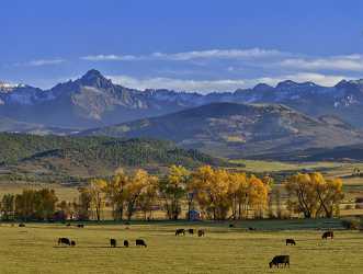 Ridgway Country Road Senic Mount Sneffels San Juan Art Prints For Sale Photo Fine Art Fine Art - 012219 - 06-10-2012 - 11467x8652 Pixel Ridgway Country Road Senic Mount Sneffels San Juan Art Prints For Sale Photo Fine Art Fine Art Royalty Free Stock Photos Fine Art Photography For Sale Lake Fine...