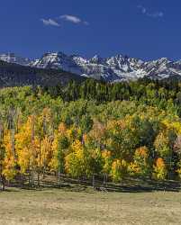 Ridgway Country Road Tree Colorado Mountain Range Autumn Fine Art Photography Gallery - 014814 - 05-10-2014 - 7271x9040 Pixel Ridgway Country Road Tree Colorado Mountain Range Autumn Fine Art Photography Gallery Landscape Photography Image Stock Fine Art Fine Art Nature Photography...