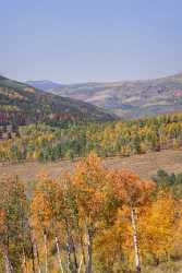 Meeker Ripple Creek Pass Trappers Lake Road Colorado Fine Art Print Fog - 008457 - 21-09-2010 - 4223x9559 Pixel Meeker Ripple Creek Pass Trappers Lake Road Colorado Fine Art Print Fog Famous Fine Art Photographers Fine Art Printing Sunshine Sky Leave Park Coast Fine Art...