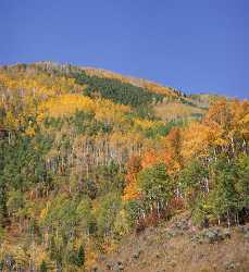 Meeker Ripple Creek Pass Country Road Forest Colorado Fine Arts Fine Art Pictures - 008461 - 21-09-2010 - 6285x6869 Pixel Meeker Ripple Creek Pass Country Road Forest Colorado Fine Arts Fine Art Pictures Famous Fine Art Photographers Fine Art Photo Park Sunshine Fine Art Fotografie...