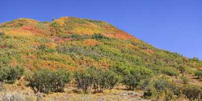 Meeker Ripple Creek Pass Country Road Sky Colorado Autumn Western Art Prints For Sale Island - 008480 - 21-09-2010 - 8619x4182 Pixel Meeker Ripple Creek Pass Country Road Sky Colorado Autumn Western Art Prints For Sale Island Stock Image Landscape River Senic Fine Art Landscape Sunshine...