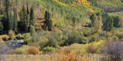 Meeker Ripple Creek Pass Country Road Photography Colorado Photo Fine Arts - 008491 - 21-09-2010 - 11123x3975 Pixel Meeker Ripple Creek Pass Country Road Photography Colorado Photo Fine Arts Royalty Free Stock Photos Tree Art Photography For Sale Fine Art Foto Senic Fine Art...