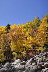 Rocky Mountain National Bear Lake Road Colorado Landscape Fine Art Prints Modern Art Print - 005786 - 25-09-2010 - 4245x8238 Pixel Rocky Mountain National Bear Lake Road Colorado Landscape Fine Art Prints Modern Art Print Famous Fine Art Photographers Autumn Fine Art Printing Prints For...