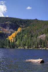 Rocky Mountain National Park Bear Lake Colorado Landscape Prints Shore Autumn Stock Image Senic - 008569 - 23-09-2010 - 4217x7652 Pixel Rocky Mountain National Park Bear Lake Colorado Landscape Prints Shore Autumn Stock Image Senic Forest Photo Fine Art Fine Art Photo Rain Snow Art Printing...