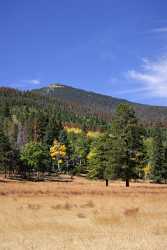 Rocky Mountain National Park Fall River Road Colorado Order Fine Art Photography Prints - 005731 - 25-09-2010 - 4193x8420 Pixel Rocky Mountain National Park Fall River Road Colorado Order Fine Art Photography Prints Modern Wall Art Fine Art Photographer Fine Art Photography For Sale...